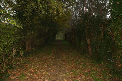 Foto 398 uit StratenBEVERWAARD