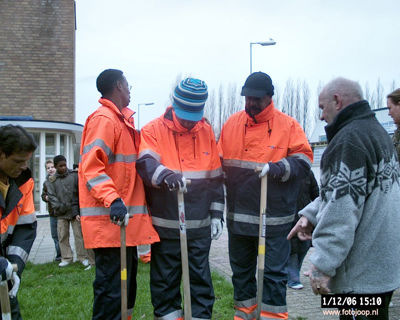 Foto 89 uit bloembollen planten