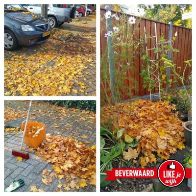 Foto 27 uit LIKEJEWIJK FOTO'S_3