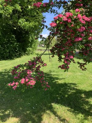 Foto 23 uit Lente En Zomer 2022