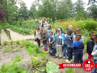 Foto 288 uit LIKEJEWIJK FOTO'S_3