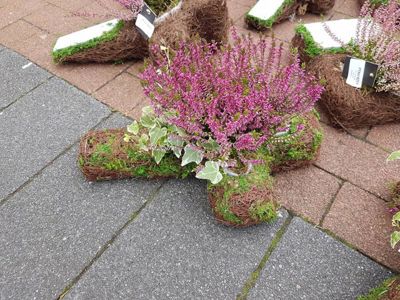 Foto 267 uit NeelyshaBloemen