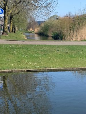 Foto 205 uit Rondje Beverwaard 2026