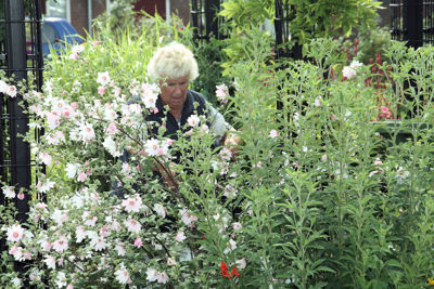 Foto 21 uit TropischeTuin16_07