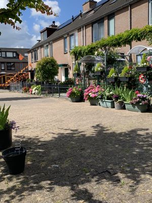 Foto 300 uit Rondje Beverwaard 2026