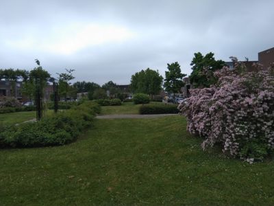 Foto 343 uit TropischeTuin 2017