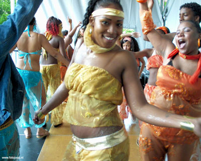 Foto 98 uit carnaval2008beverw