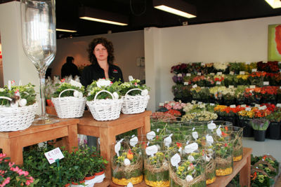 Foto 215 uit WINKELSBeverwaard