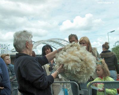 Foto 3 uit Paardenmarkt new07