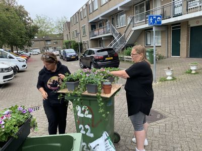 Foto 15 uit PlantenAlerdincksingel