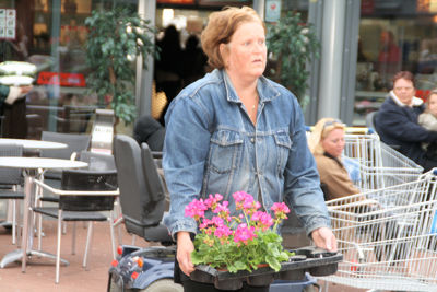 Foto 52 uit OpzoomerenPlantjes