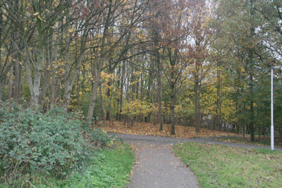 Foto 174 uit Herfst In Beverwaard