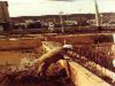 Foto 5 uit 40 Jaar Beverwaard