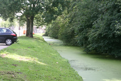 Foto 130 uit StratenBEVERWAARD