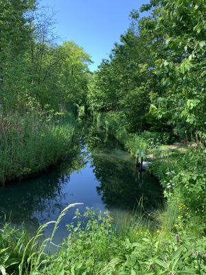 Foto 31 uit Rondje Beverwaard 2026