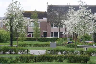 Foto 213 uit Rondje Beverwaard 2026