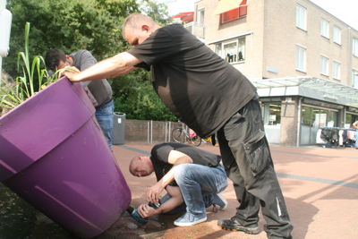 Foto 5 uit Grote-Bloem-Potten