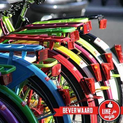 Foto 27 uit LIKEJEWIJK-2016