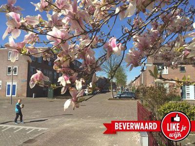 Foto 197 uit LIKEJEWIJK FOTO'S_3