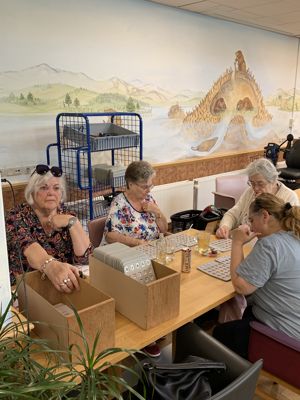 Foto 28 uit BingoIJsselburgh8-4