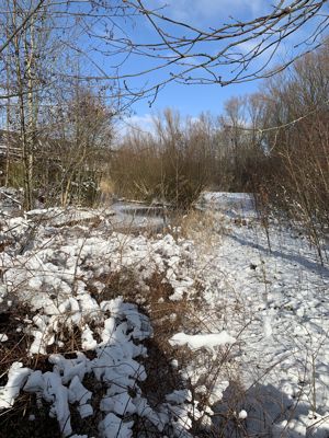 Foto 181 uit WinterIn Beverwaard