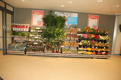 Foto 82 uit hoogvliet verbouwen