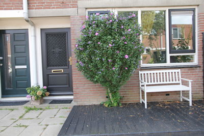 Foto 133 uit Herfst In Beverwaard