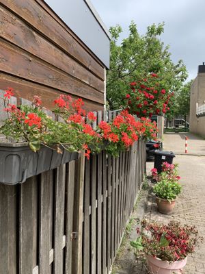 Foto 296 uit StratenBEVERWAARD