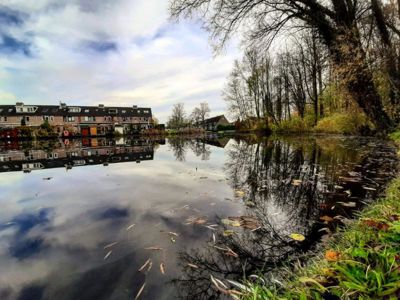 Foto 71 uit Herfst In Beverwaard