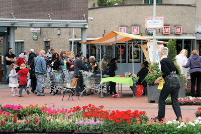 Foto 98 uit OpzoomerenPlantjes