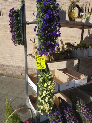 Foto 5 uit NeelyshaNieuweZaak