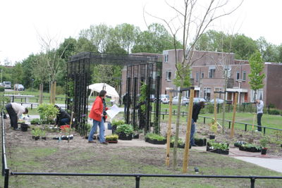 Foto 65 uit Tropische Buurttuin