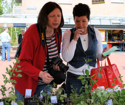 Foto 16 uit Tuin-Academie25-4_9