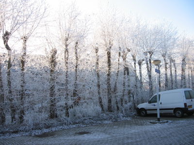 Foto 268 uit WinterIn Beverwaard