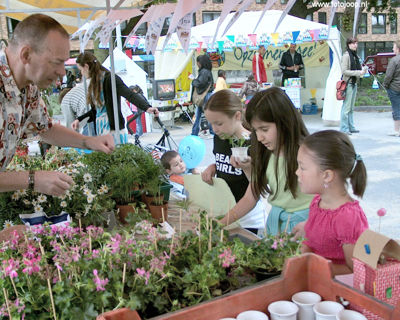 Foto 89 uit wijkfeest de dijk new