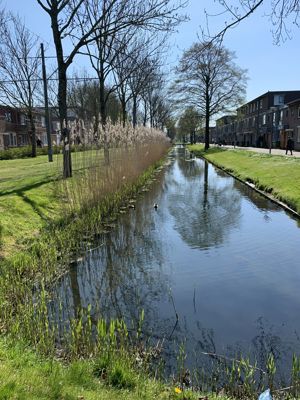 Foto 472 uit Rondje Beverwaard 2026