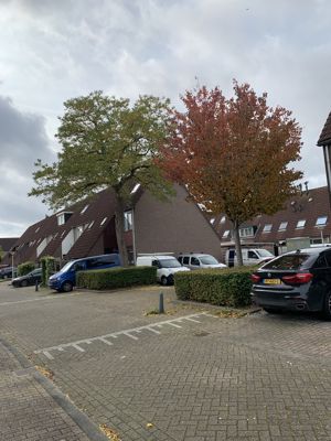 Foto 441 uit Rondje Beverwaard 2026