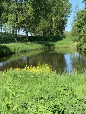 Foto 30 uit Rondje Beverwaard 2026