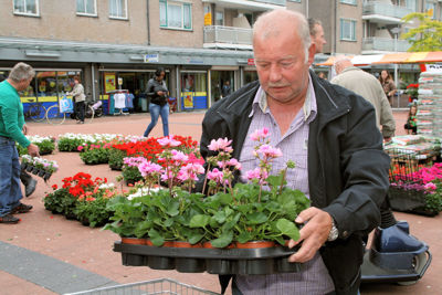 Foto 75 uit OpzoomerenPlantjes