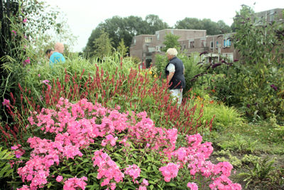 Foto 4 uit TropischeTuin16_07