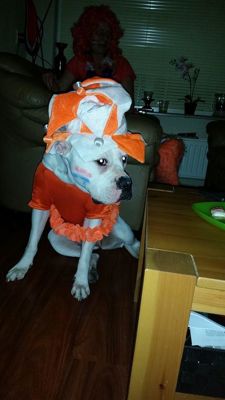 Foto 100 uit OranjeInBeverwaard