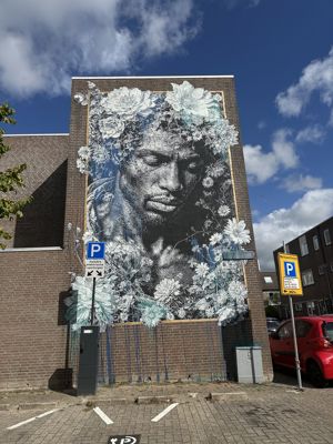 Foto 80 uit All Caps Muurschilderingen Beverwaard 2026