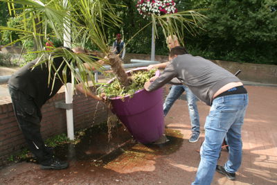 Foto 2 uit Grote-Bloem-Potten