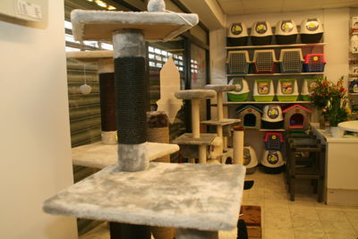 Foto 46 uit Dieren Zaak Catdox