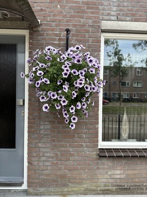 Foto 286 uit Rondje Beverwaard 2026