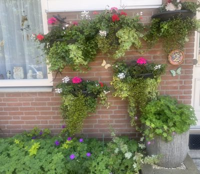Foto 525 uit Rondje Beverwaard 2026