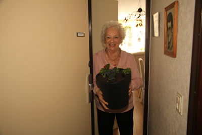 Foto 14 uit Plantjes Ijselburgh