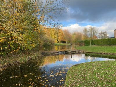 Foto 103 uit X-Herfst Verschillende jaren  2026
