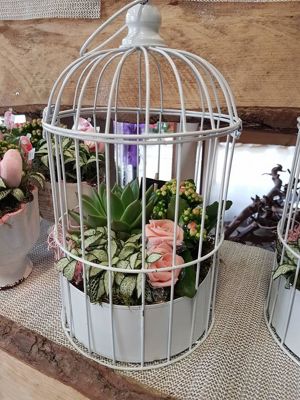 Foto 329 uit NeelyshaBloemen