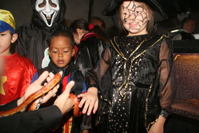 Foto 278 uit HaLLoWeeN29_10_11